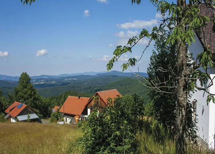 Zum Kleinen Lusen Holiday home Neuschoenau